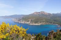 Lacasa Corsica Paradise