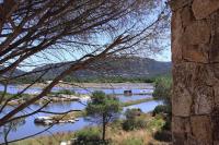 Salina Bay