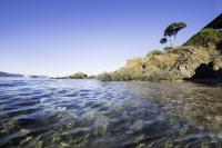 Arco Plage
