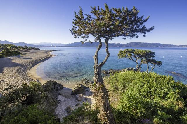 Arco Plage