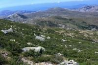 GR 20 Sud 6 jours
