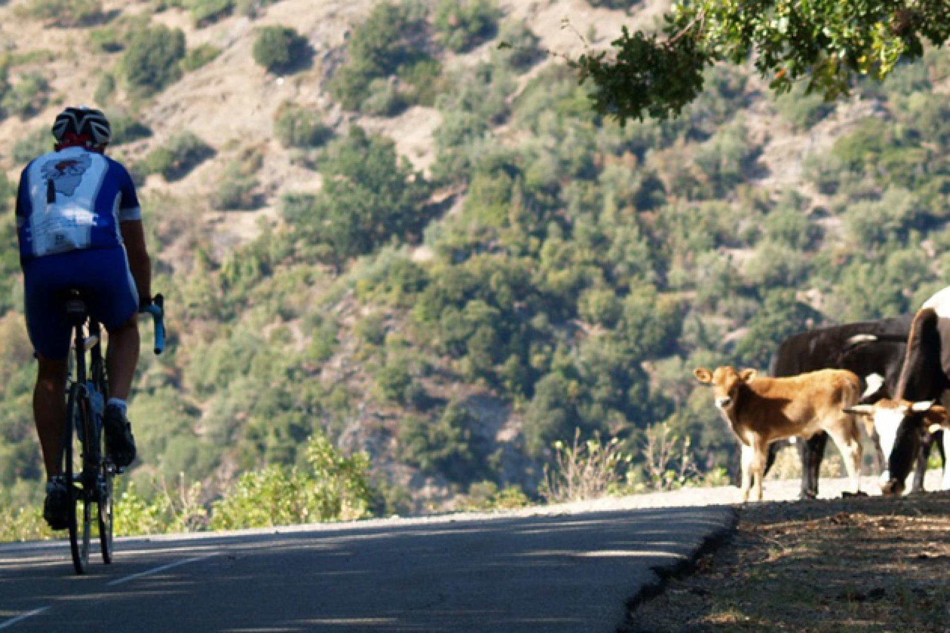 Circuit vélo Tour de Haute-Corse en liberté 8 jours Bastia Corse