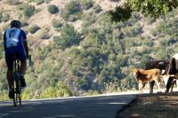 Circuit vélo Tour de Haute-Corse en liberté 8 jours Bastia Corse
