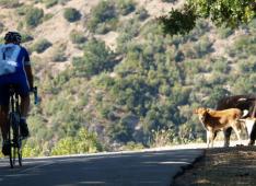 Circuit vélo Tour de Haute-Corse en liberté 8 jours