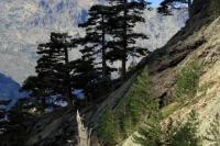 GR 20 Nord 6 jours