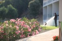 Domaine Bagia Donne 
