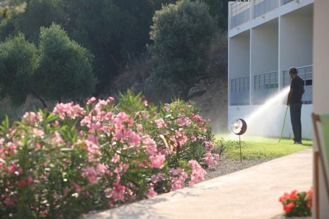 Domaine Bagia Donne 