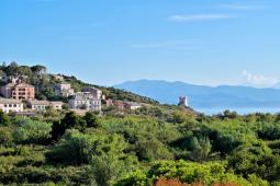 Saint Roch Ogliastro