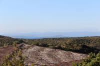 Version Maquis Citadelle