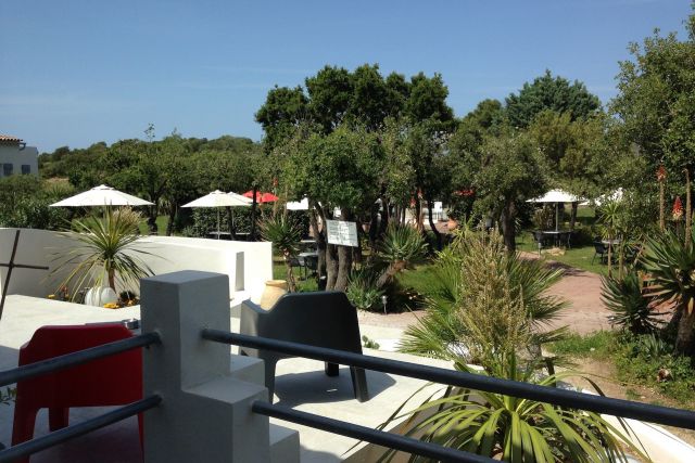 Les Mouettes - Lozari