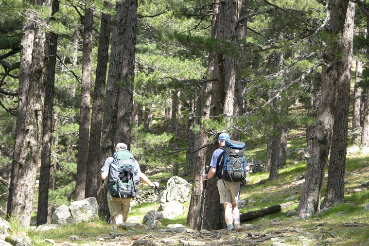 Les Chemins de Traverse - 7 jours