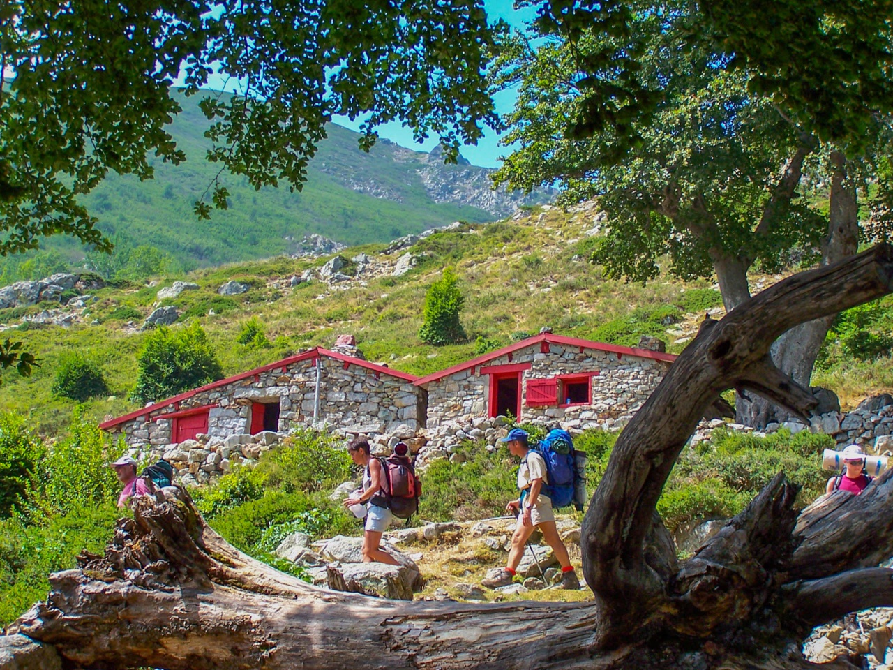 La Corse Tonique- 6 jours Spécial famille